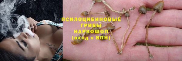гашик Аркадак