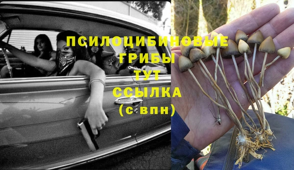 PSILOCYBIN Переславль-Залесский