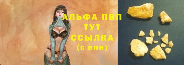 гашик Аркадак