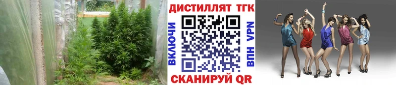 ТГК THC oil Лебедянь