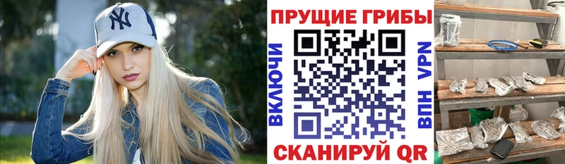 ссылка на мегу ONION  Лебедянь  Галлюциногенные грибы Magic Shrooms 